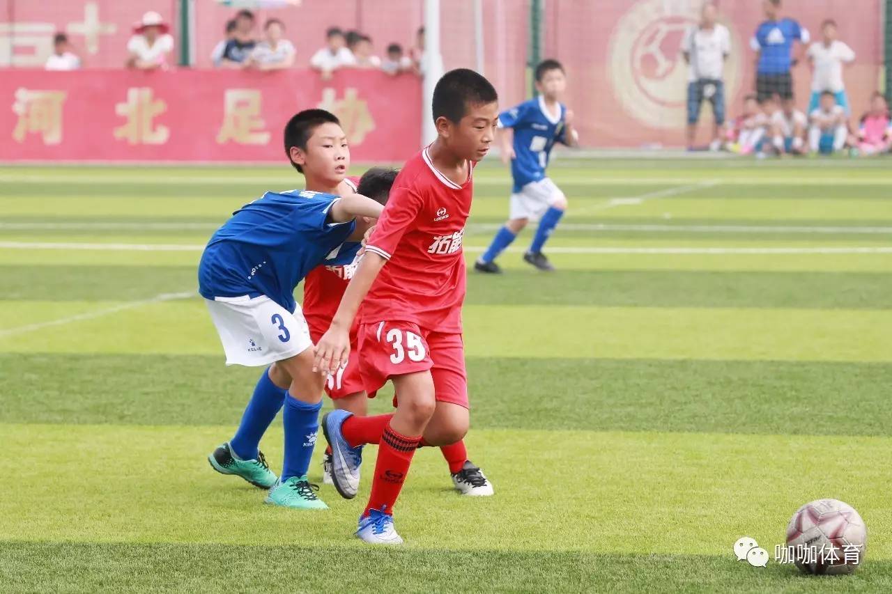 青少年篮球“未来之星”系列培训在全国推广，选拔优秀苗子的简单介绍